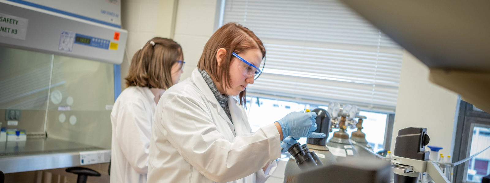 Biomedical Engineering